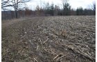 Property photo 37 - 98+/- Acres Offered in 6 Tracts or Combinations, Noble County, Indiana Farm